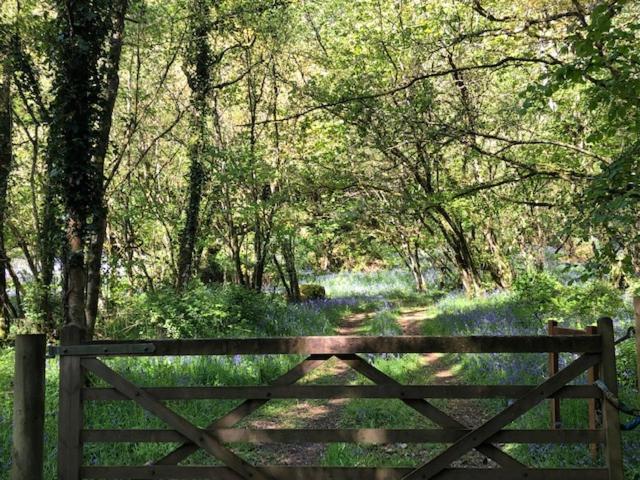 Down The Garden Path Vintage Caravan B&B , Dartmoor Newton Abbot Buitenkant foto