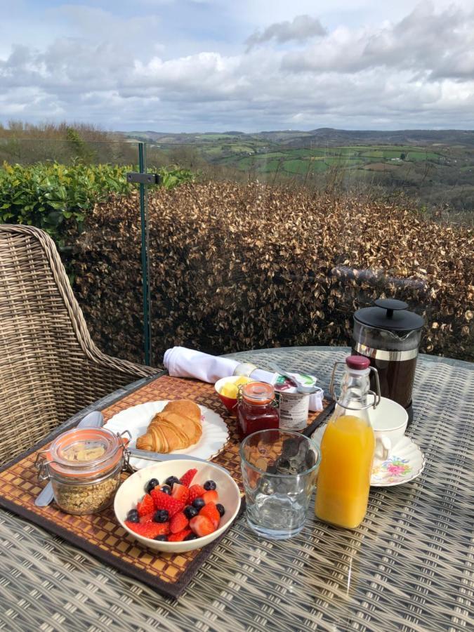 Down The Garden Path Vintage Caravan B&B , Dartmoor Newton Abbot Buitenkant foto