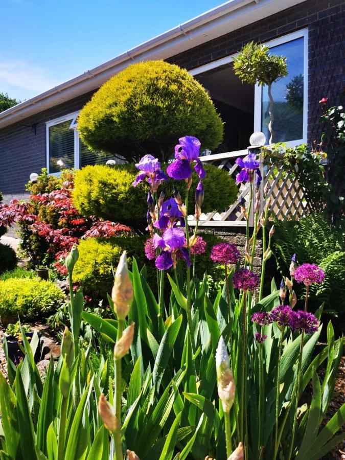 Down The Garden Path Vintage Caravan B&B , Dartmoor Newton Abbot Buitenkant foto